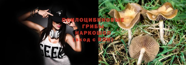 марихуана Медногорск
