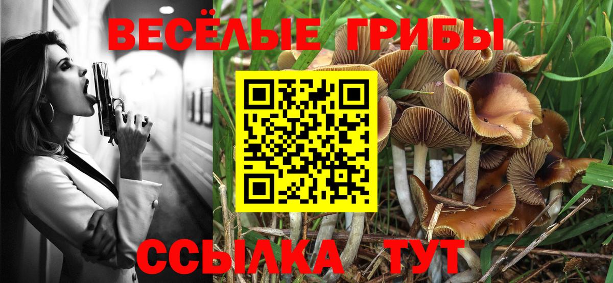 Псилоцибиновые грибы Psilocybine cubensis  Псилоцибиновые грибы Psilocybe  Узловая  Вход с VPN 