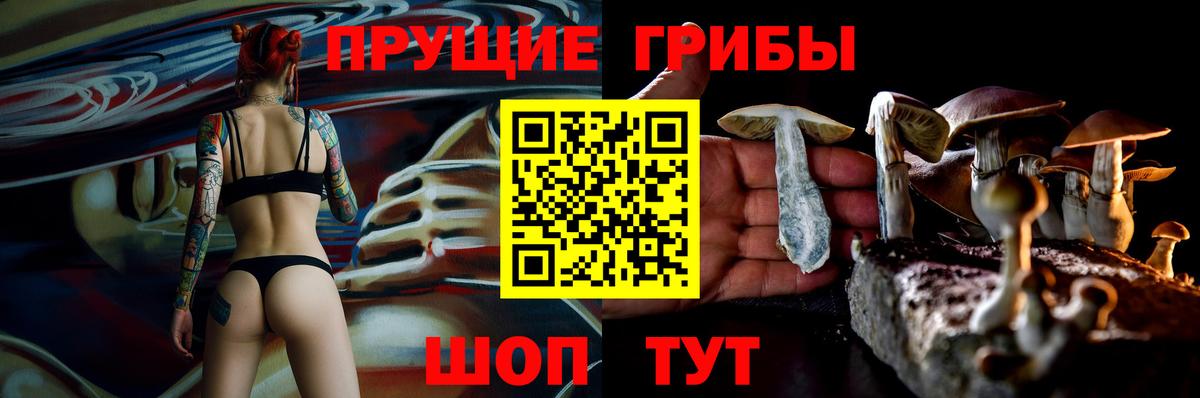 Галлюциногенные грибы мицелий Узловая